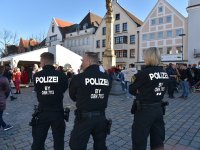 230221 Pfaffenhofen Fasching Foto Alfred Raths  (22)