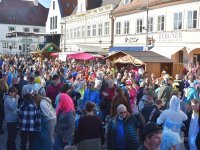 230221 Pfaffenhofen Fasching Foto Alfred Raths  (60)