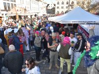 230221 Pfaffenhofen Fasching Foto Alfred Raths  (62)