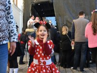 230221 Pfaffenhofen Fasching Foto Alfred Raths  (156)