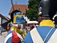 JS_INT Napoleon Fest 00052